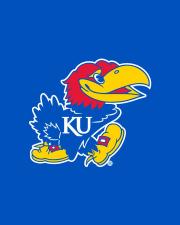 Picture of a Jayhawk
